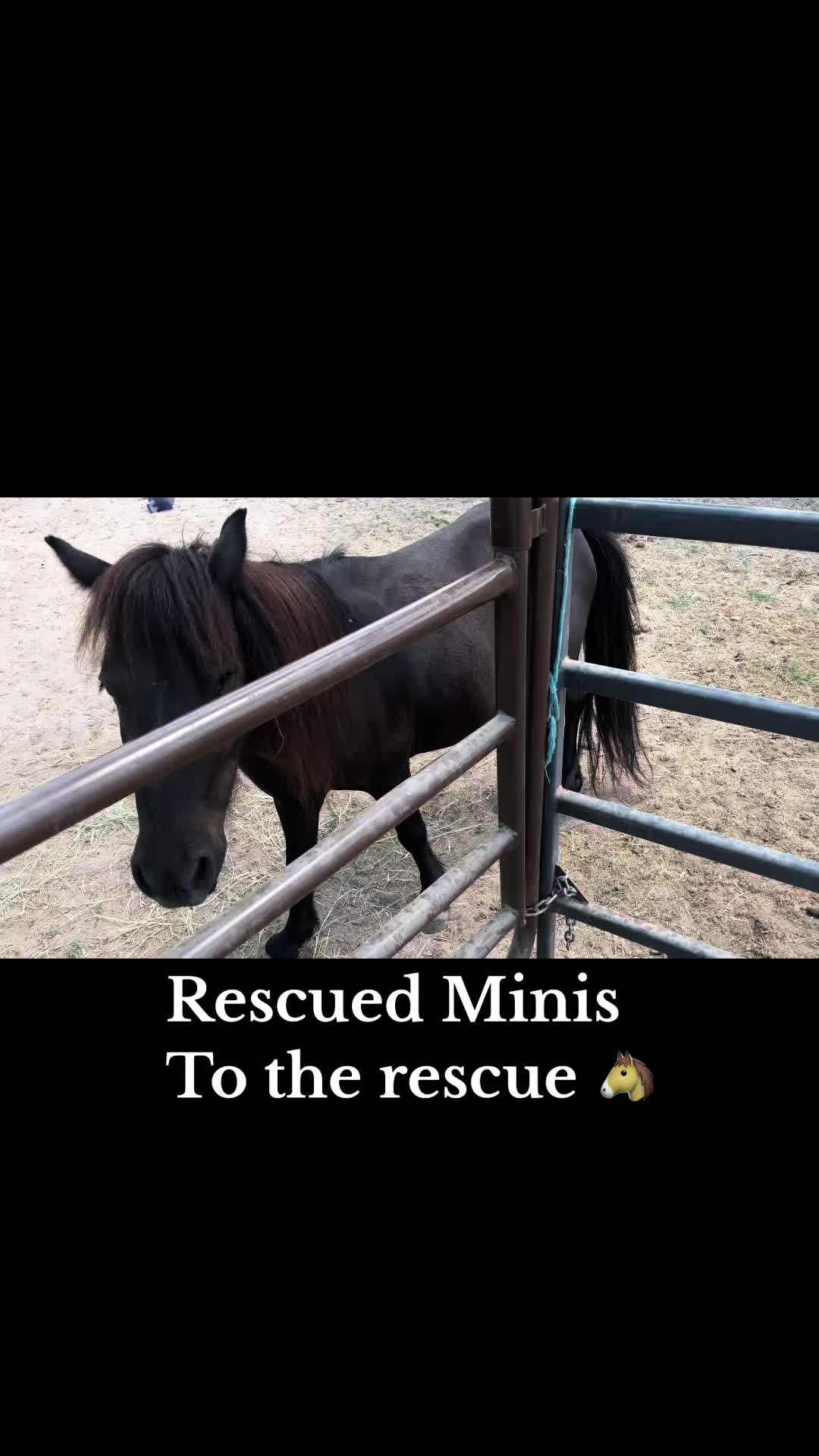 @CowboyBob_Horsemanship