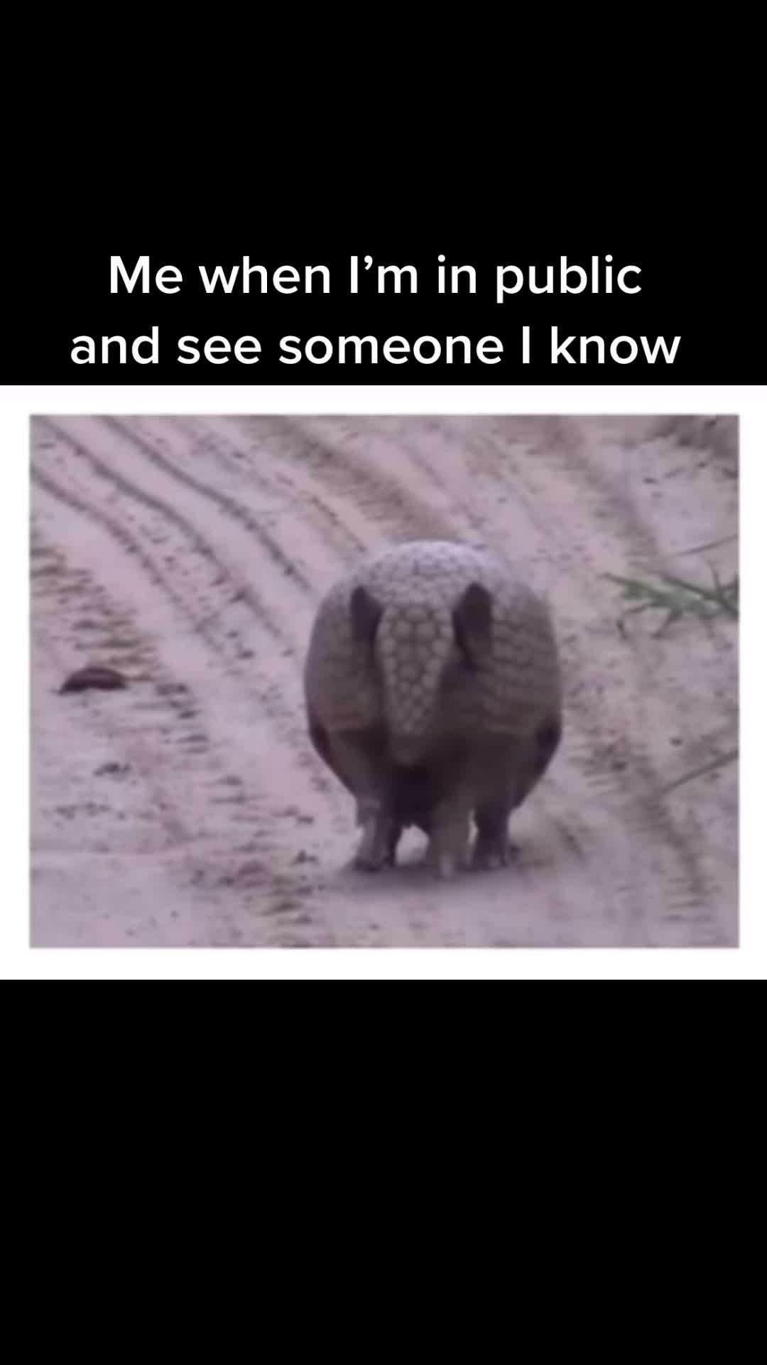 @Connie