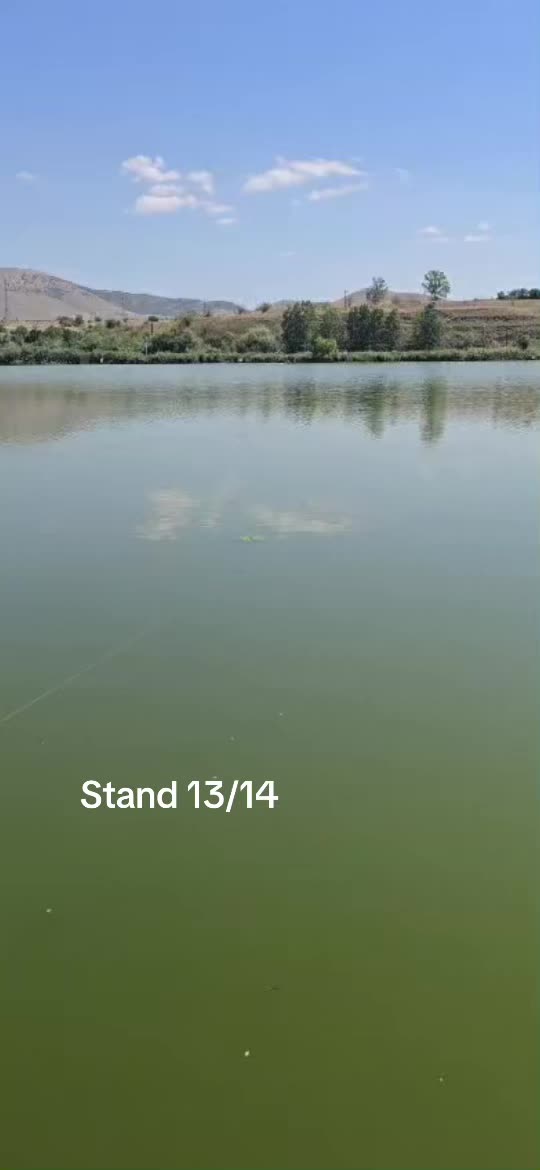 @Balta Turcoaia