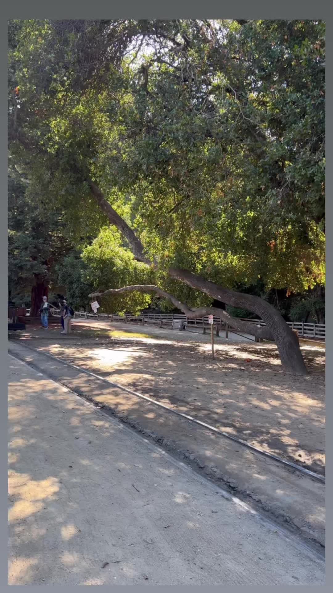 @Nuray Karabıyıkoglu
