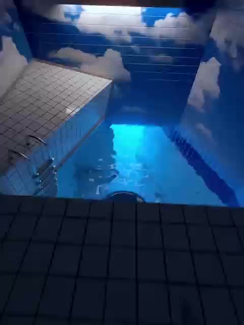 @trixe