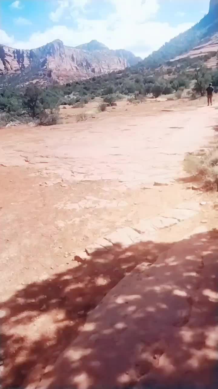 @Rebel Phoenix