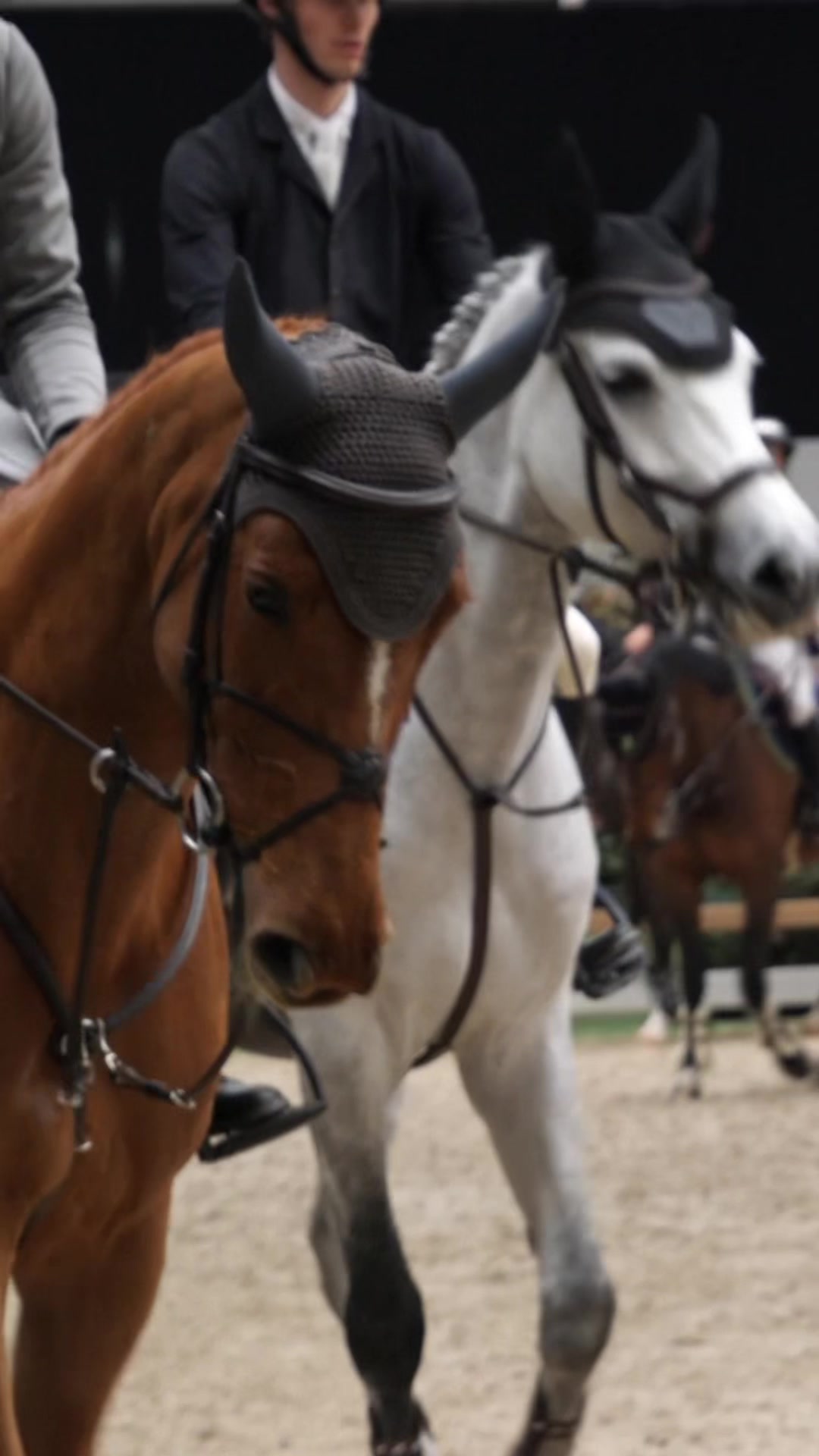 @HorseNetwork