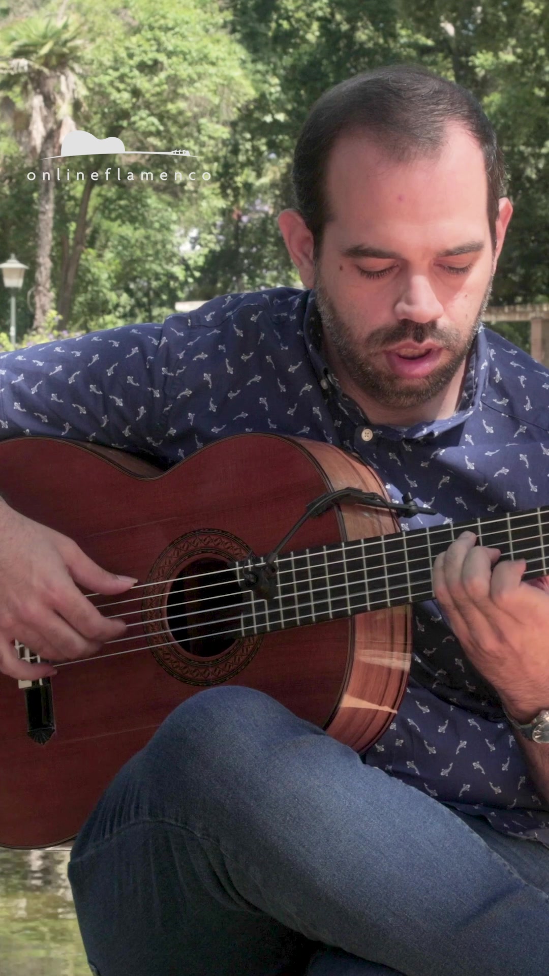 @Online Flamenco