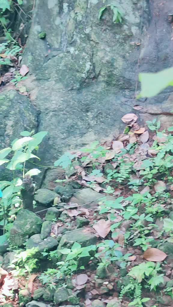 @കാഞ്ഞിരപ്പള്ളിക്കാരൻ