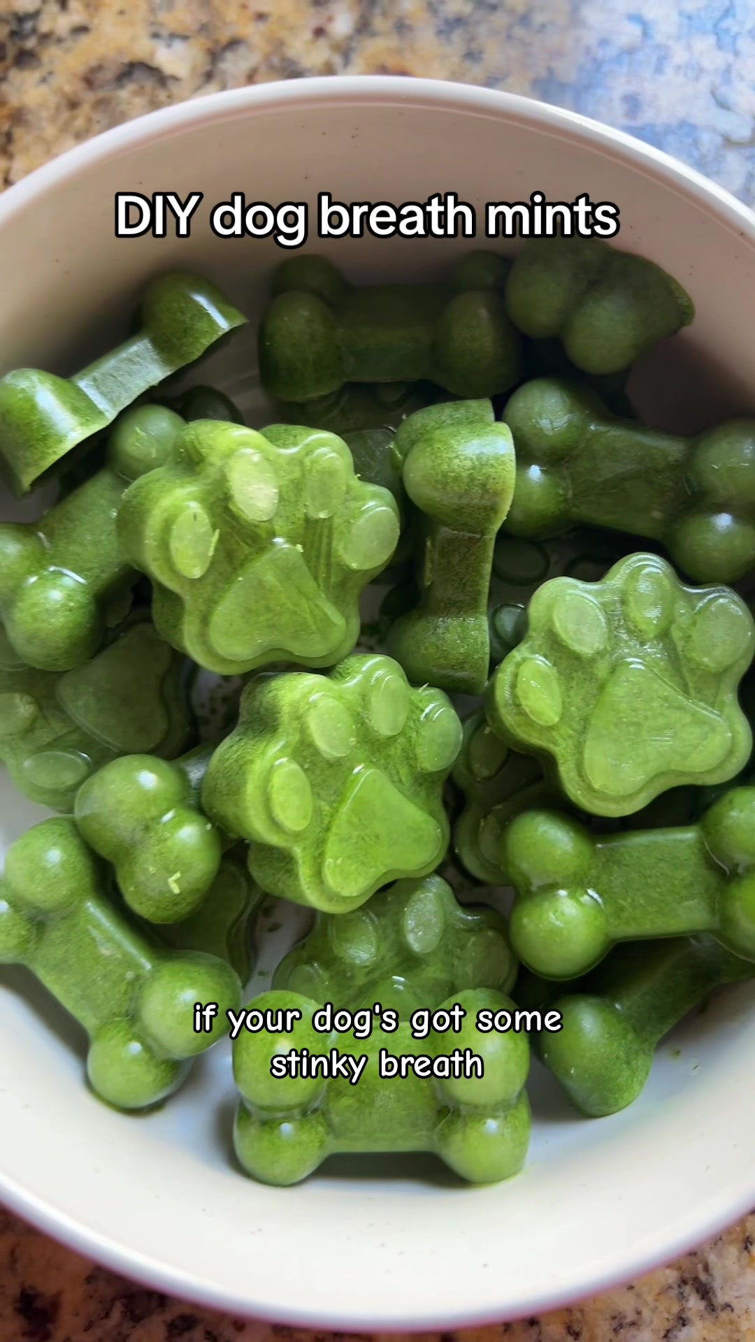 @The Z Cattle Dogs