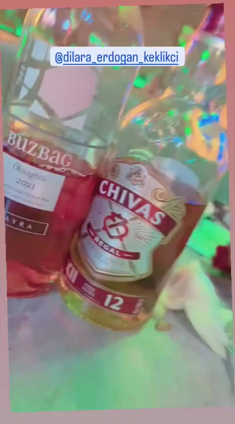 @dilara Keklikçi