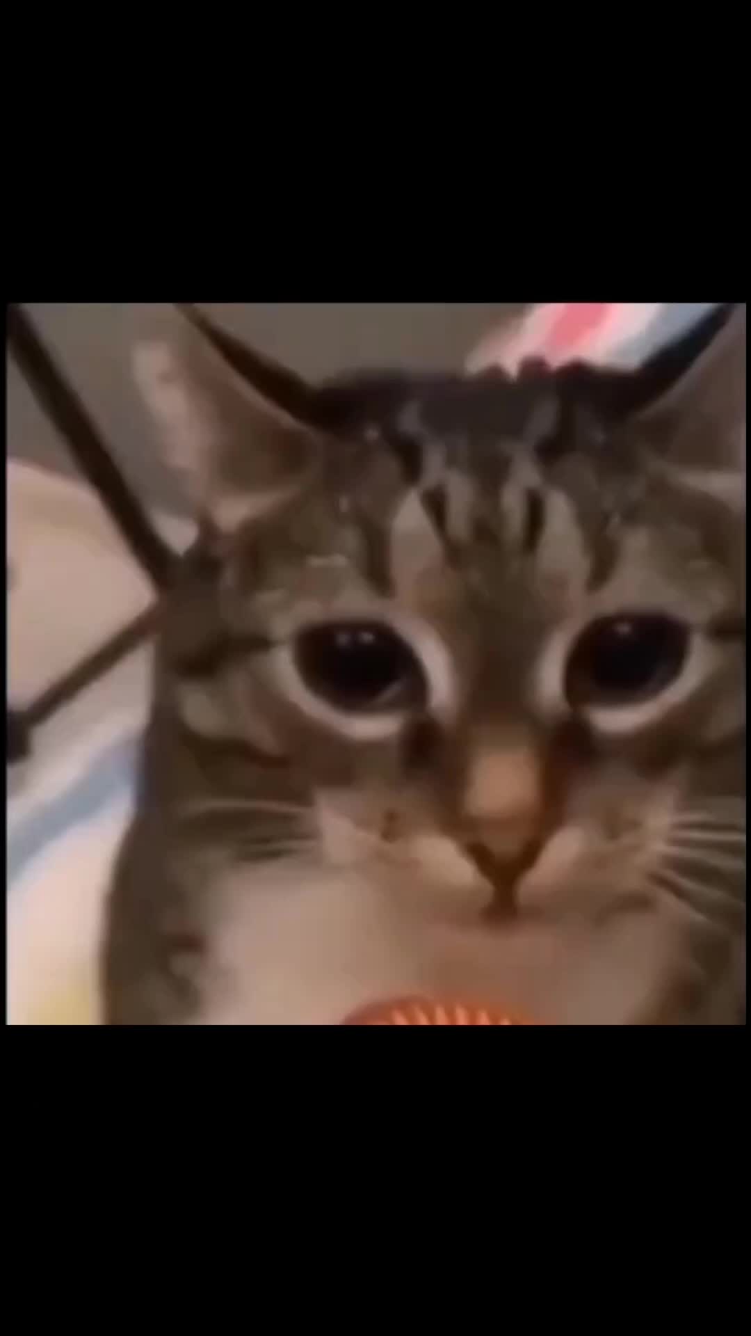 @Фюрер_В_Танке