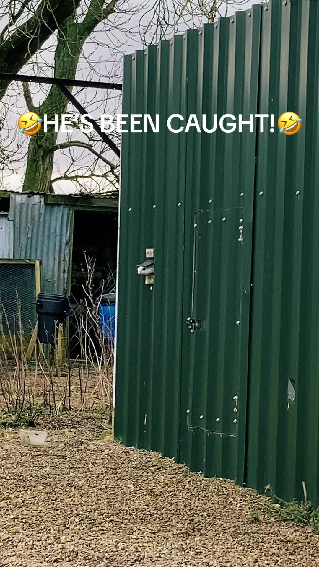 @Briony🏴🦅🪼🐋