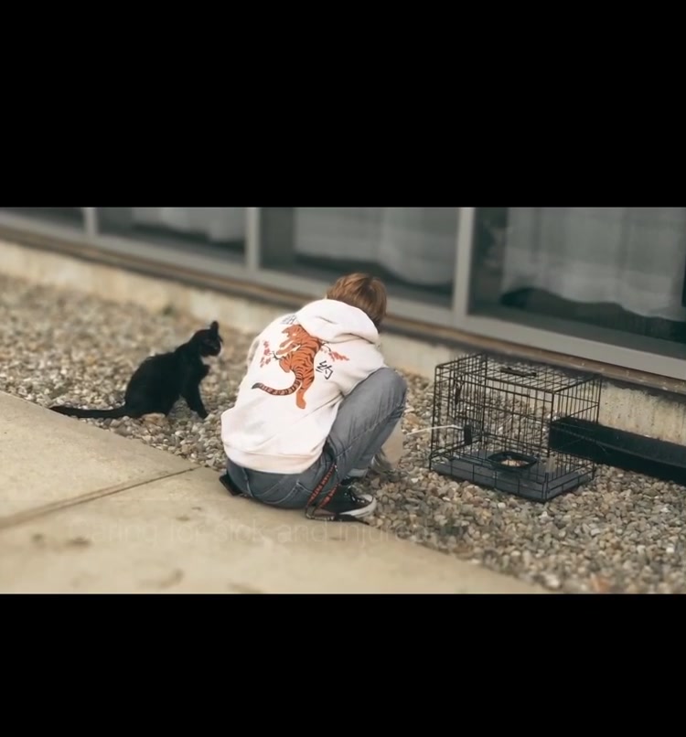 @OnlyKindnessRescue