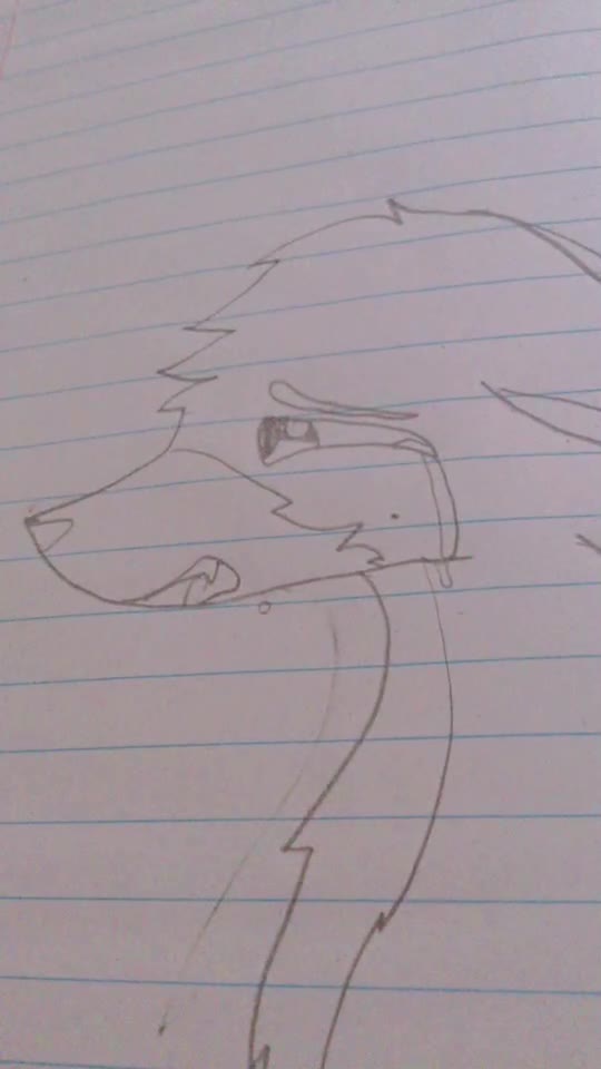 @Alphawoof