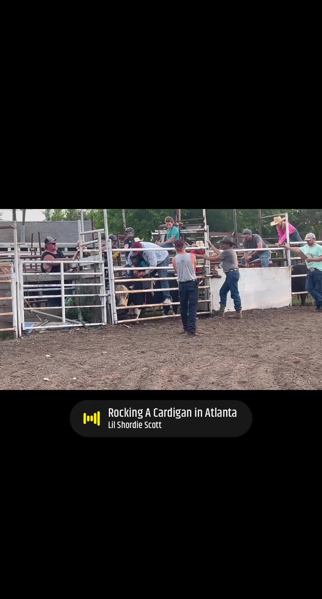 @🐂Haze Reed-Mini Bull Rider🐂