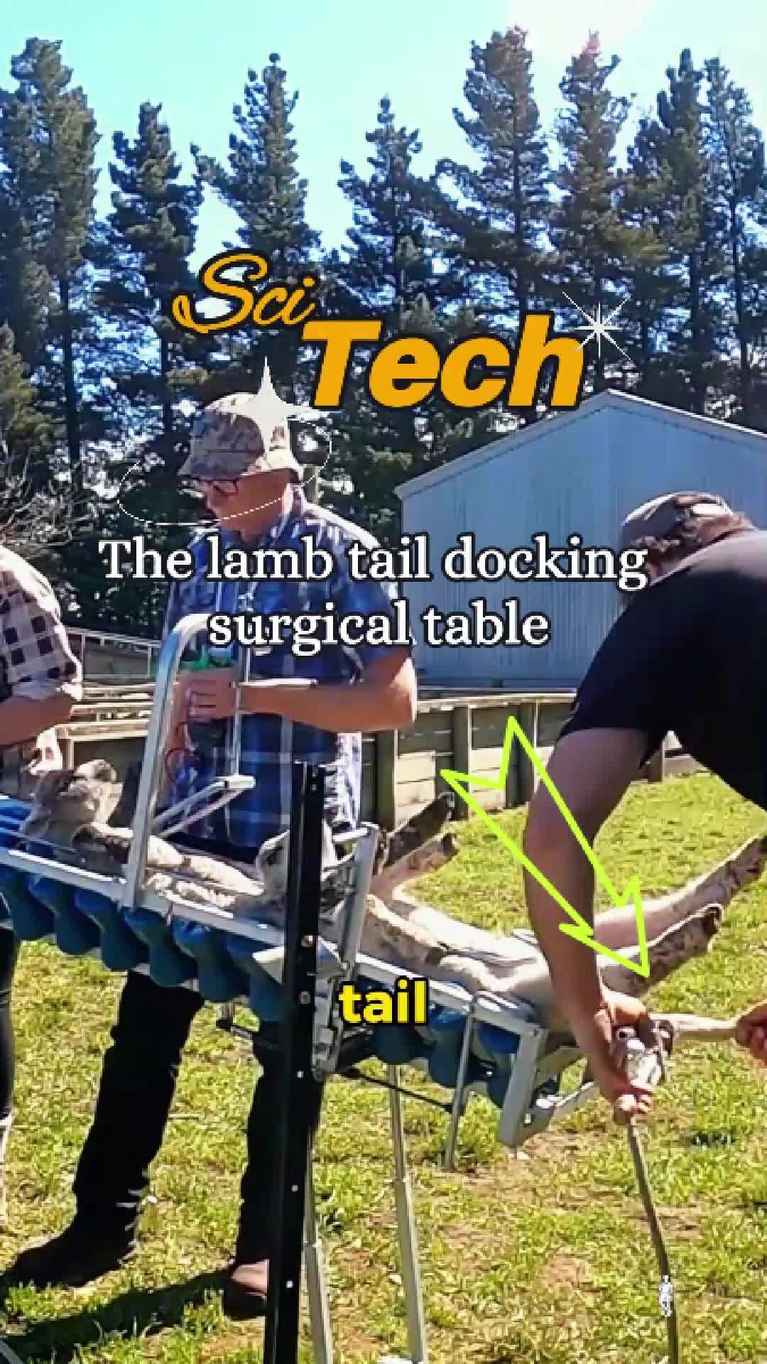@ScitechTime