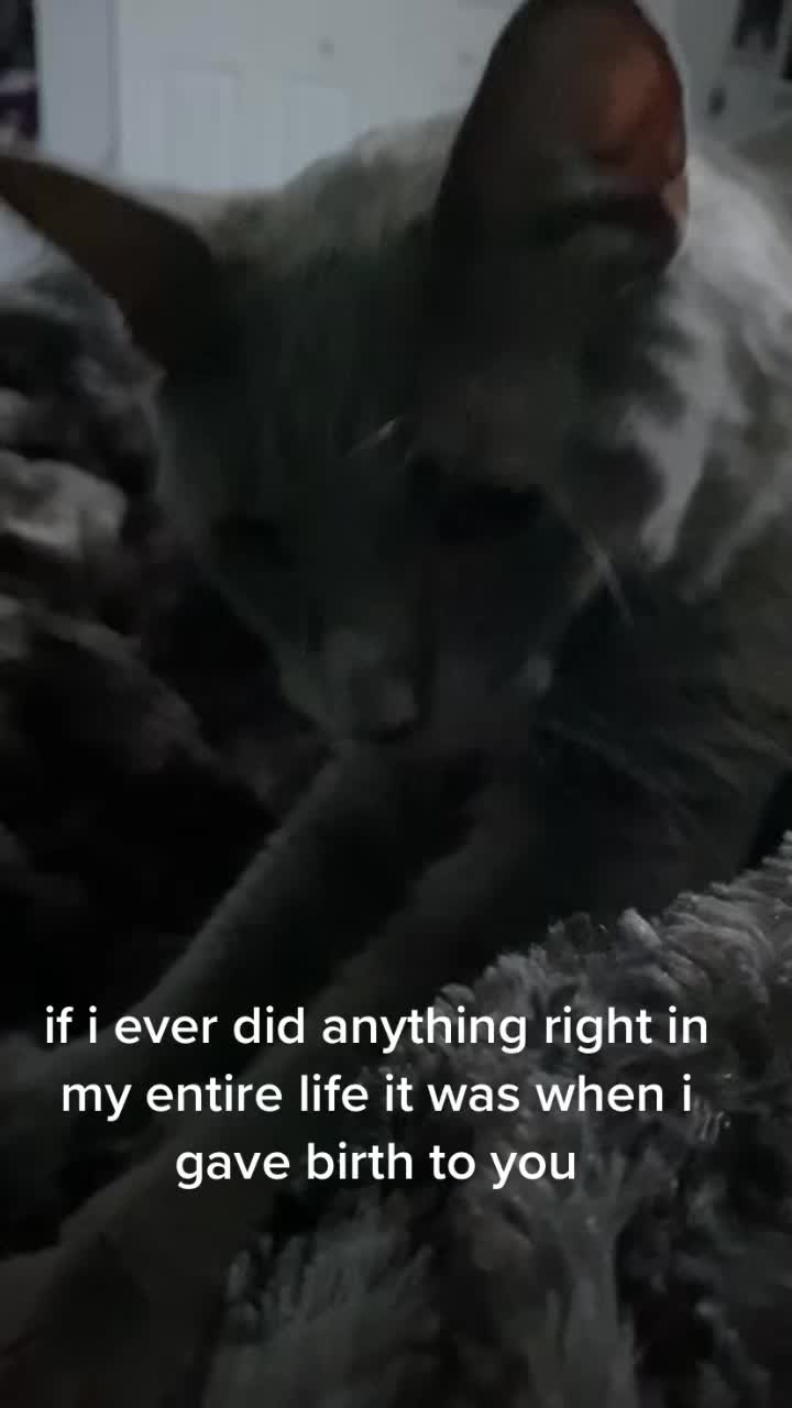@stephanie🔮🐈&zwj;⬛🌛