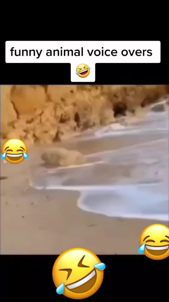 @Prettygymnastmauri