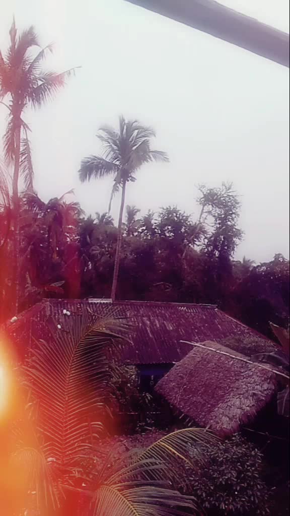 @Mamali Mamali