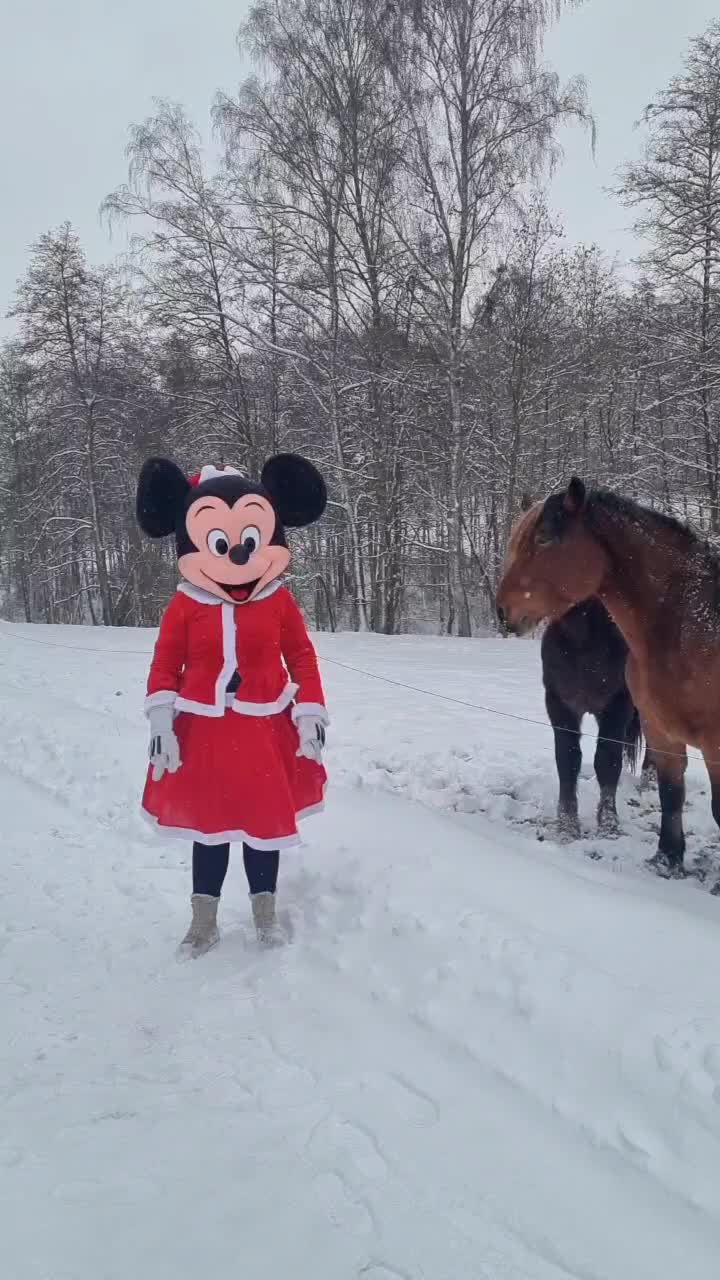 @🐭DanceMickeyMouse🐭