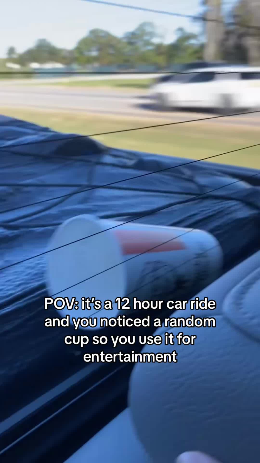 @lily