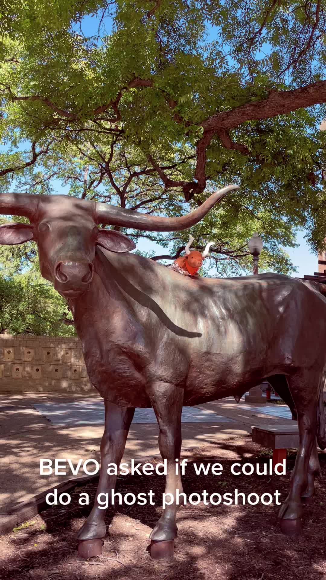 @TexasExes