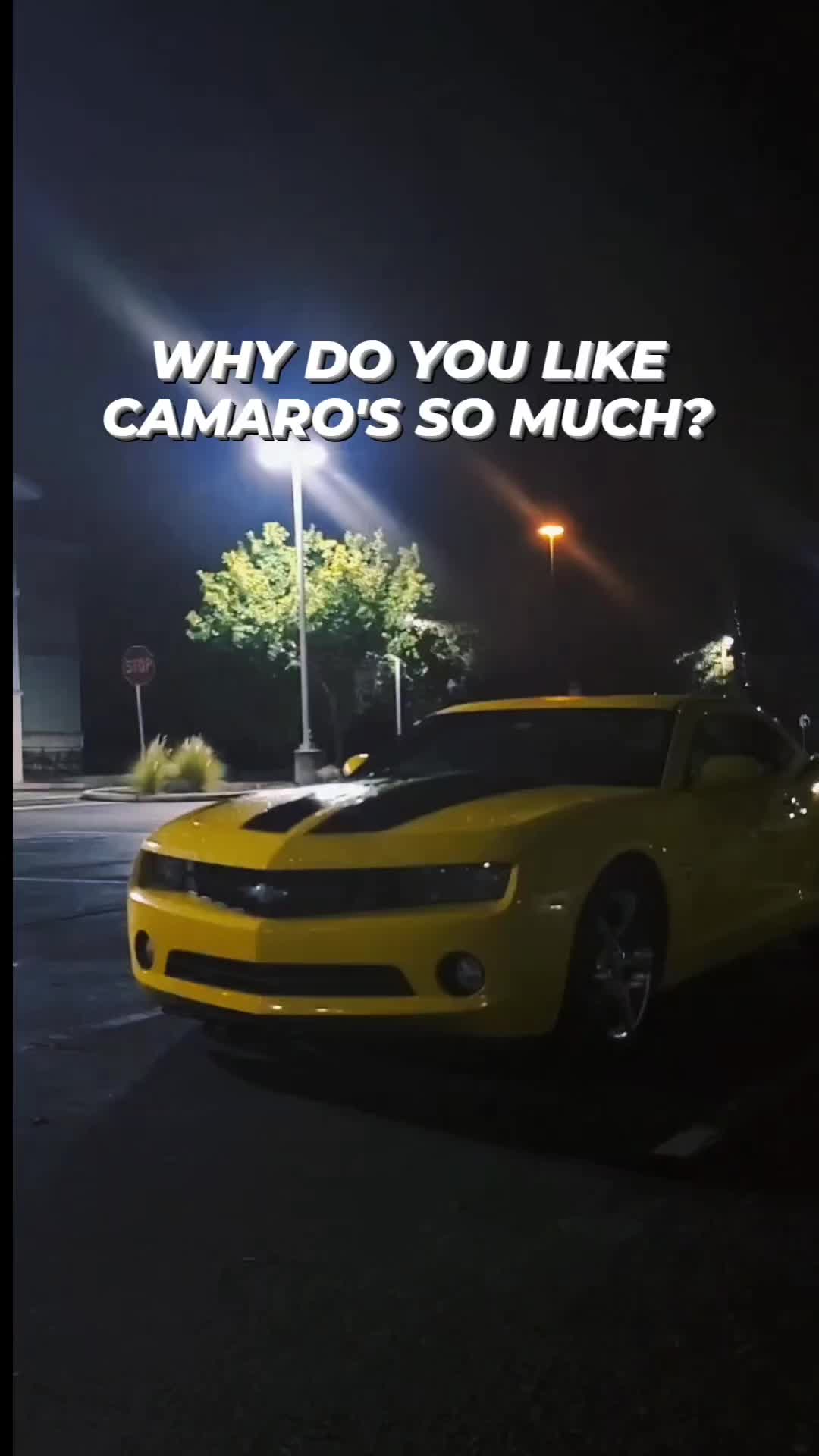 @Camaro Bee-127