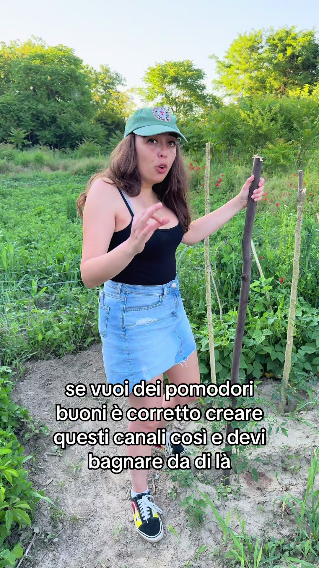 @valerianorese