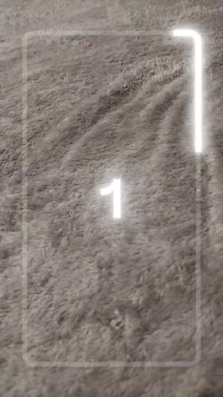 @JojoBreeze
