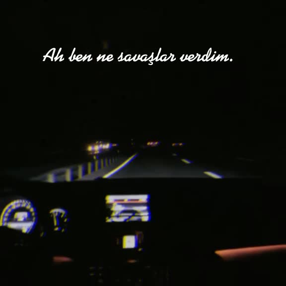 @berivan &ccedil;elik 