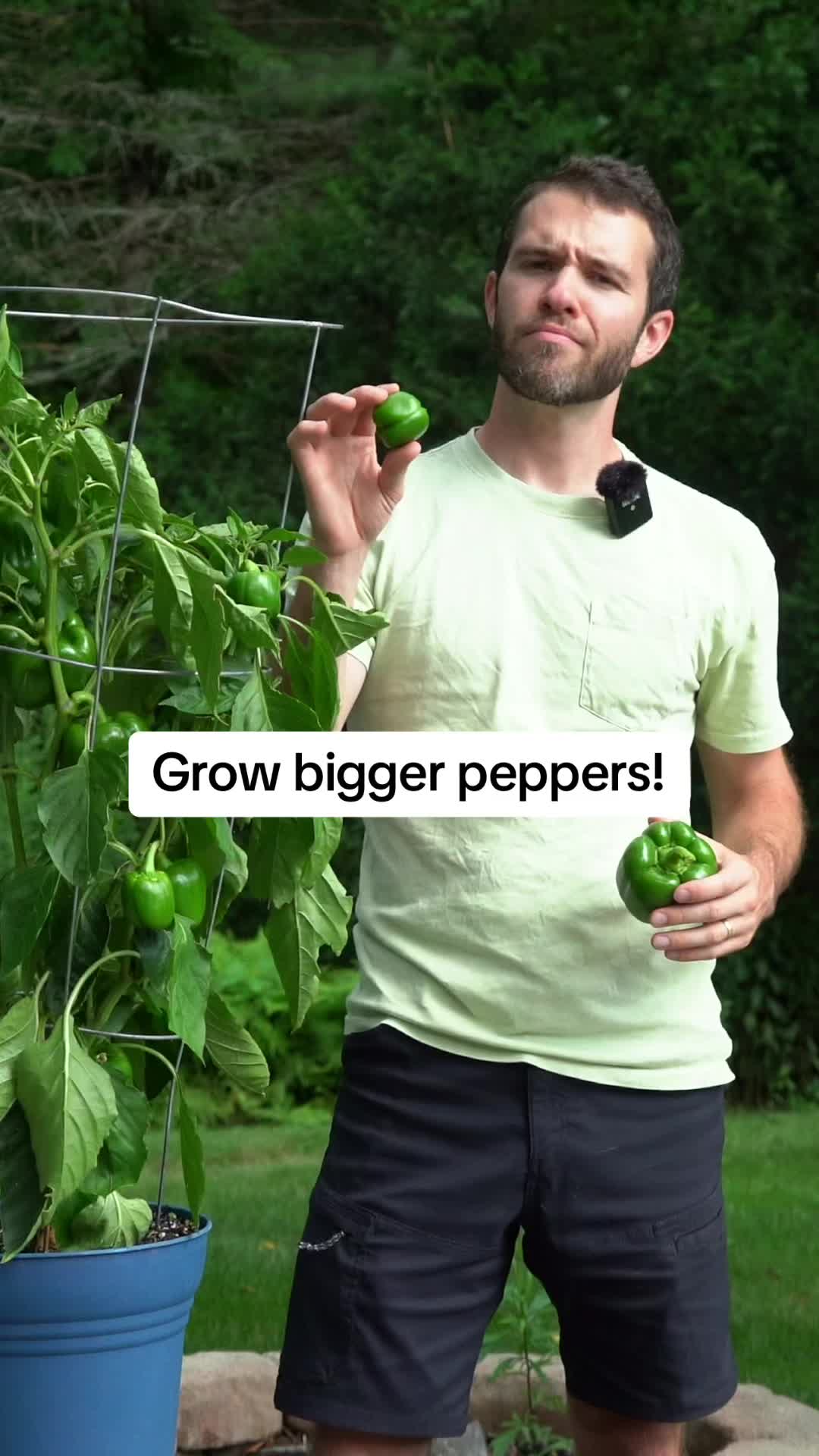 @Geeky Greenhouse / Pepper Geek