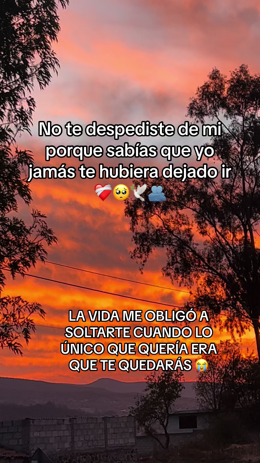 @_fuentesdom_