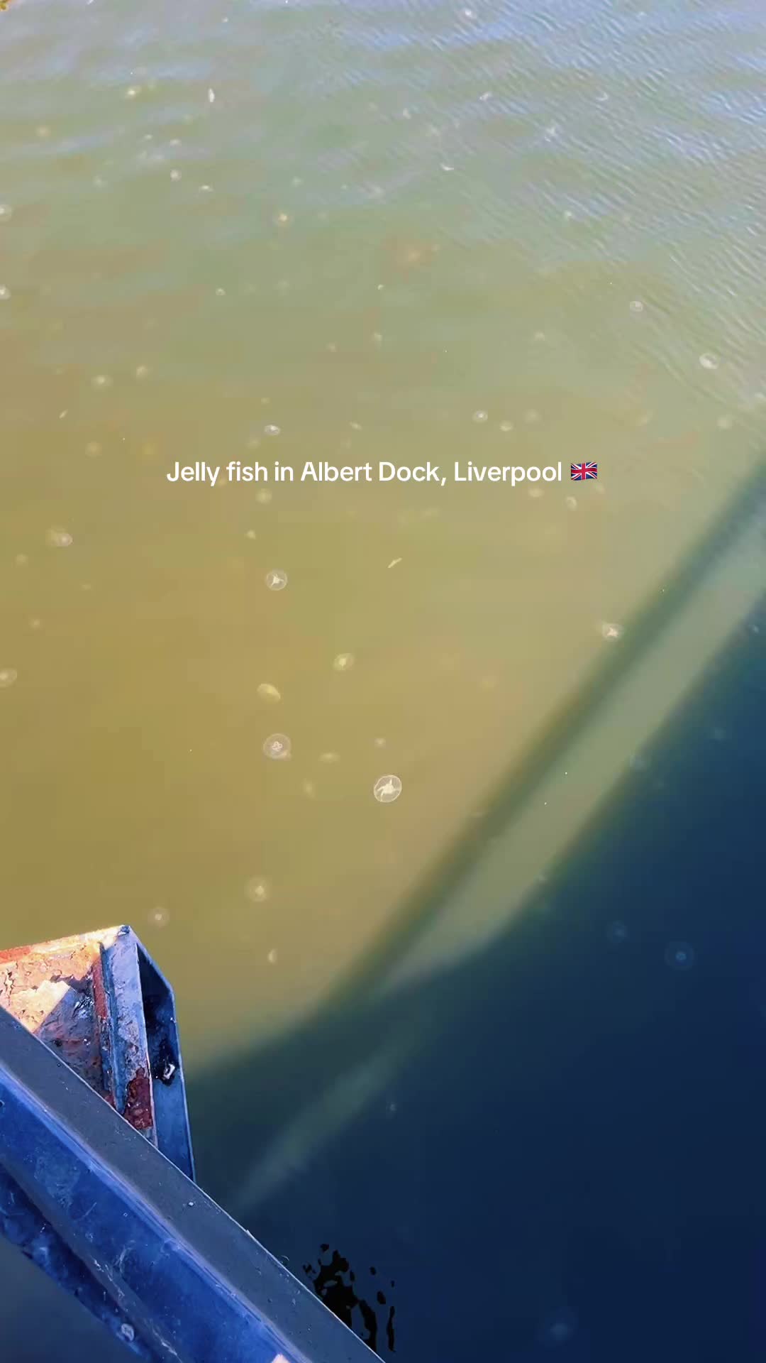 @Uthpala_🇱🇰🇬🇧