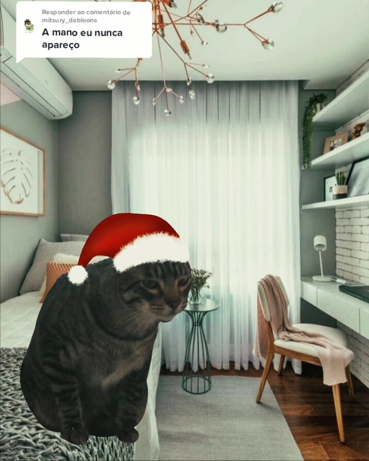 @Ozzy o gato
