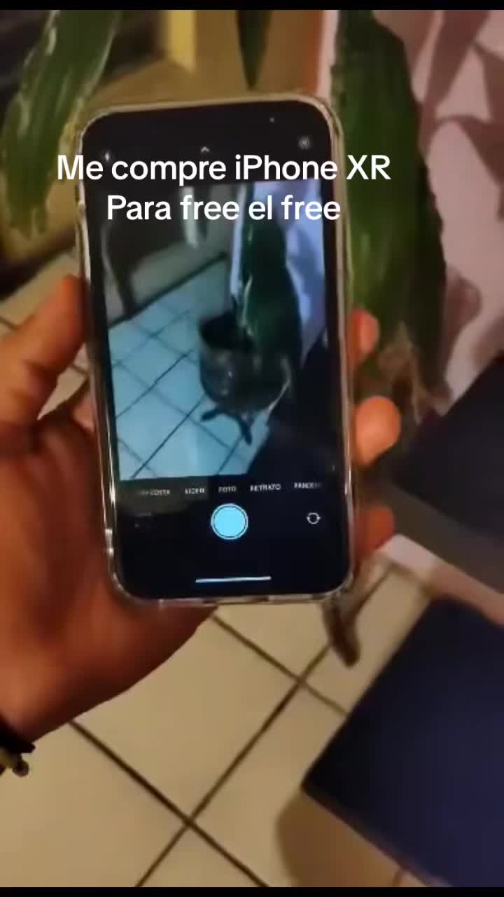 @Luis Moreno271