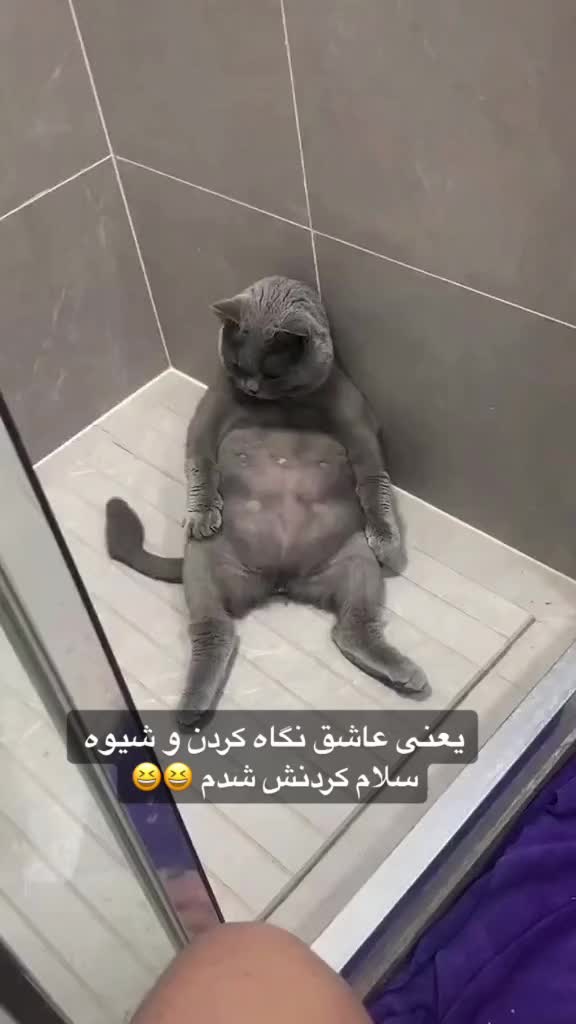 @Sogand