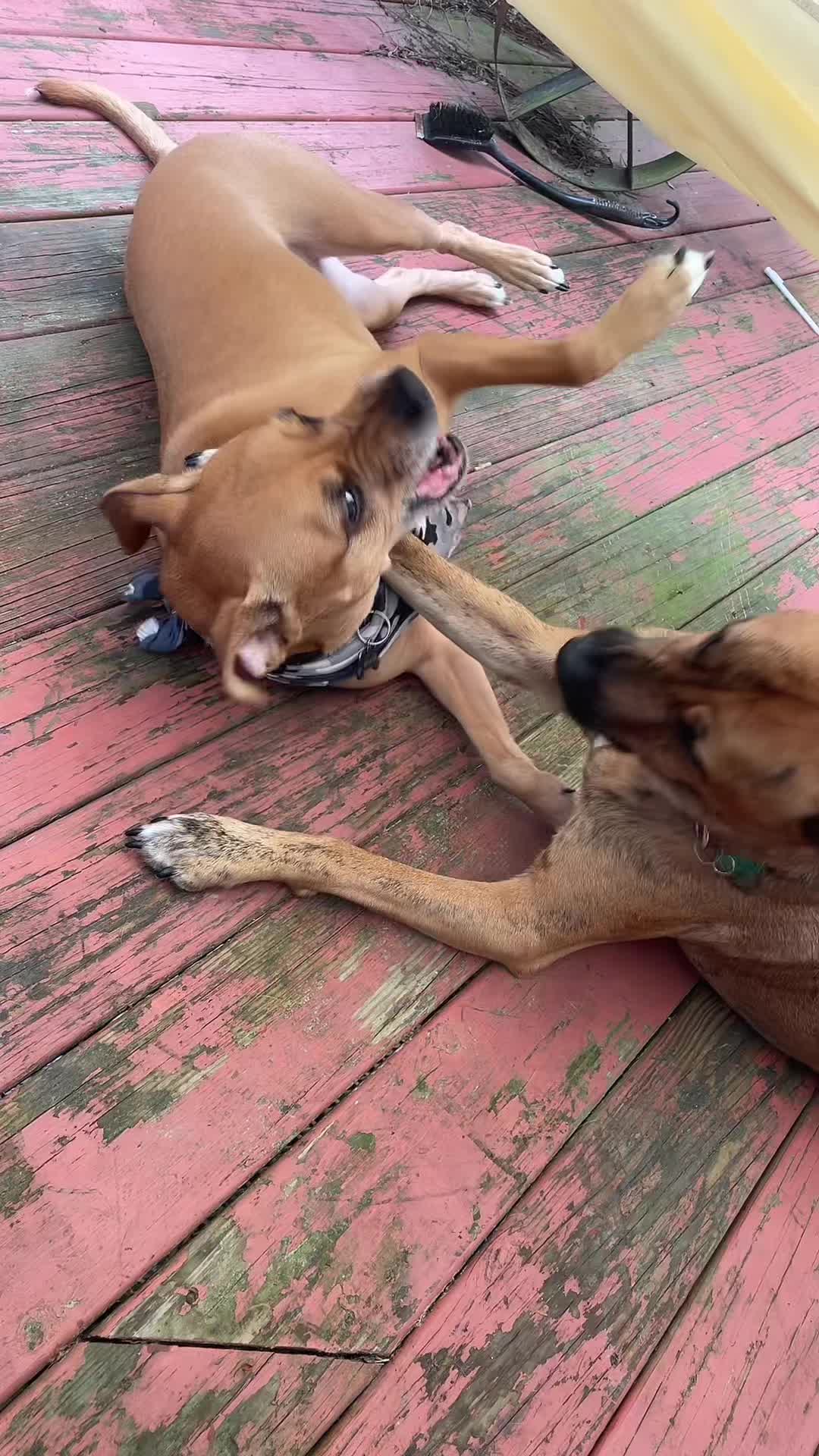 @K🛸✨🪐