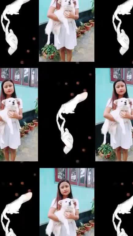 @Priya Diphusa