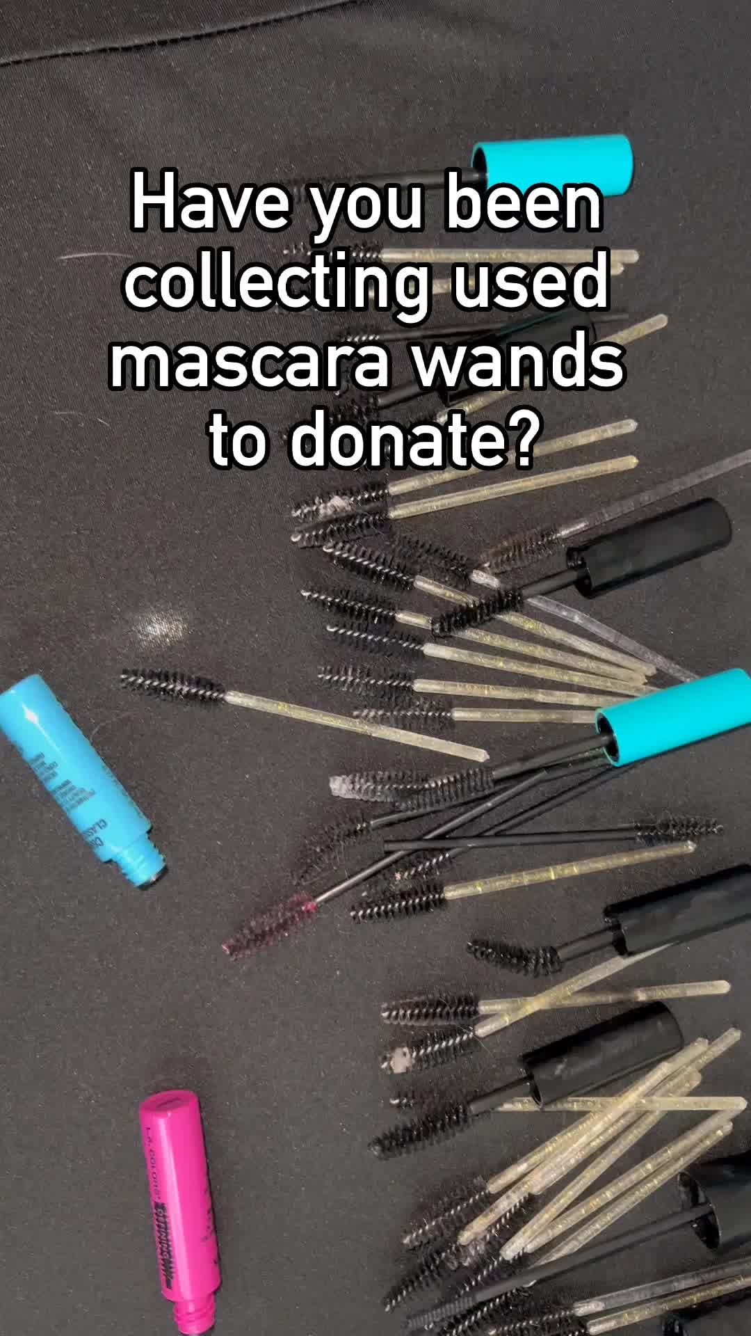 @wandsforwildlife