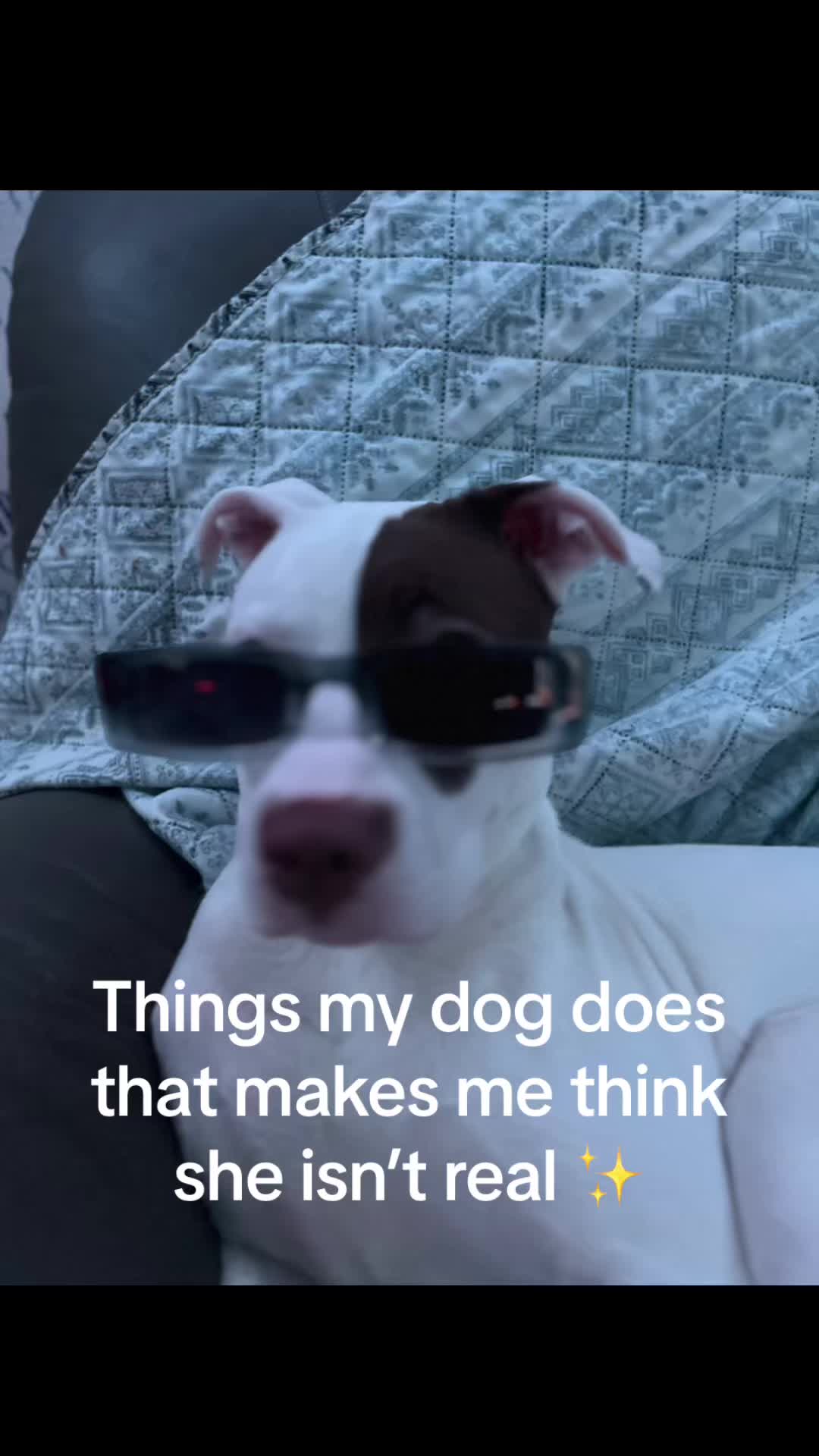 @baileymthompson