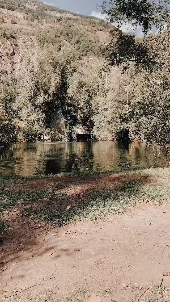 @Florim Krasniqi LiMi
