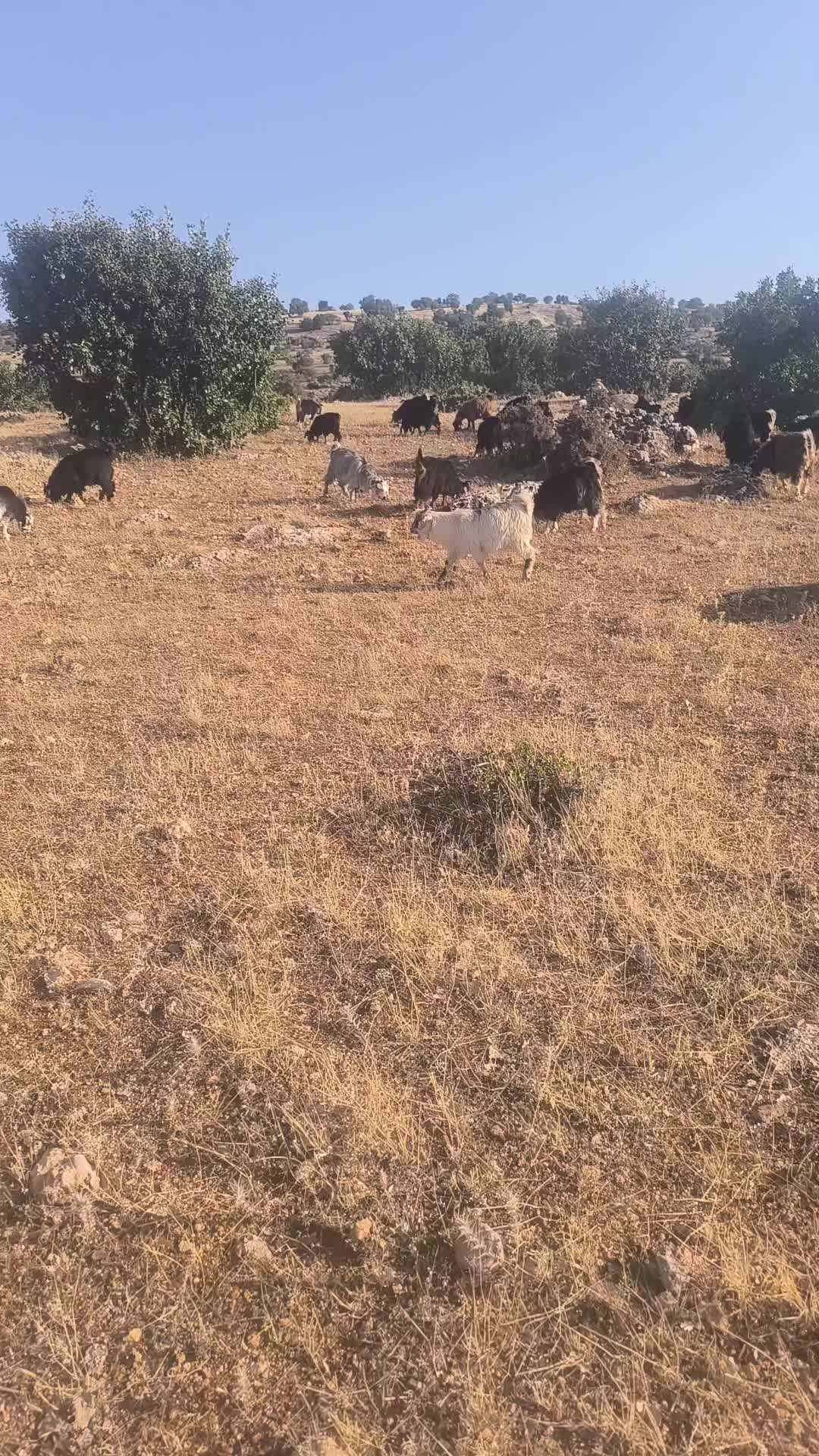 @Ömer Kaydaş