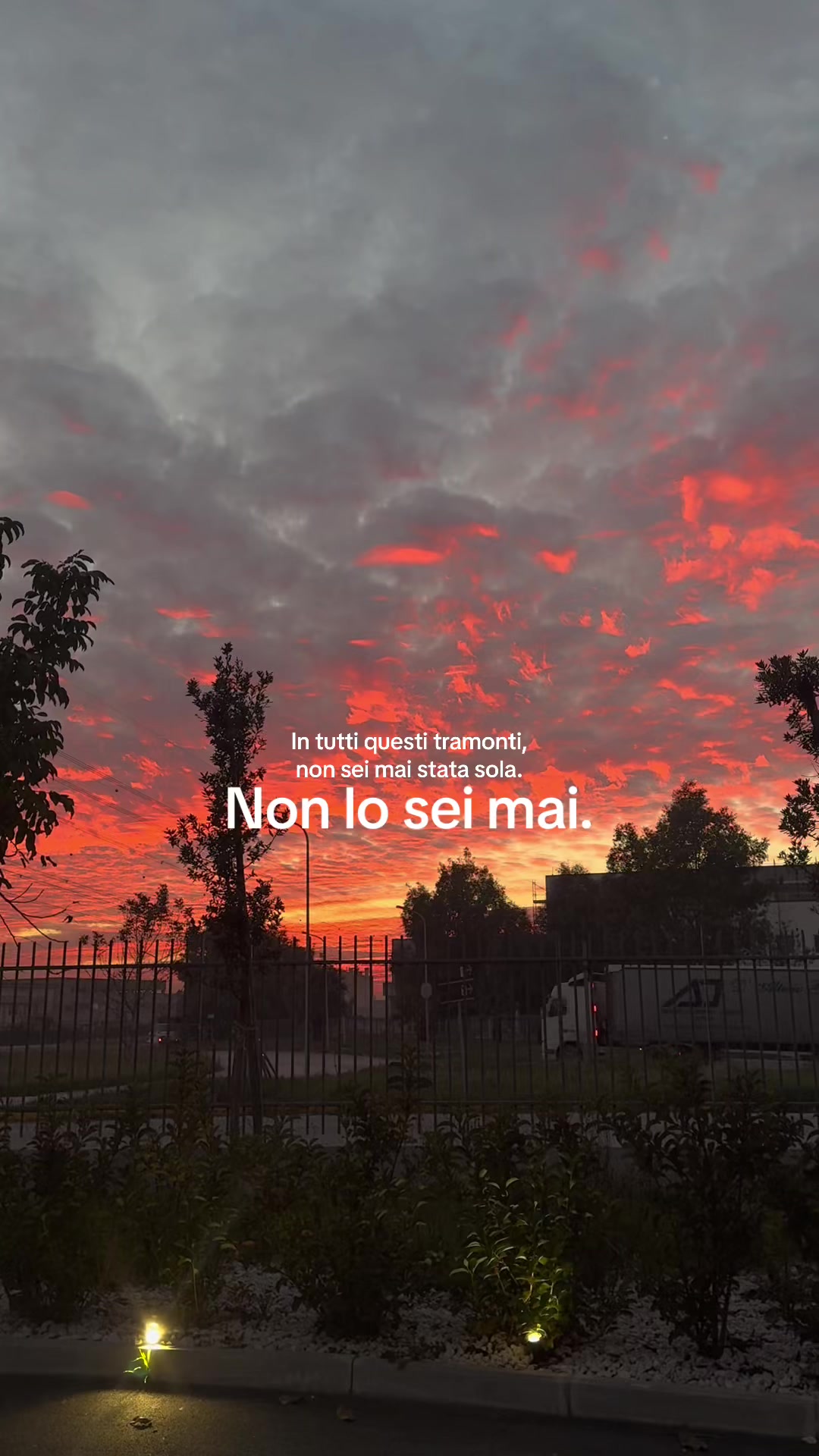 @Federica Iorio