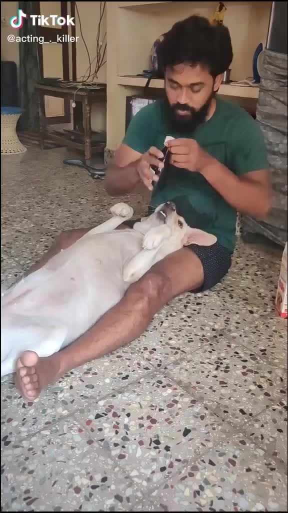 @വൈഗ