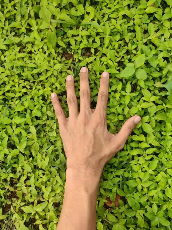 @aswin kp