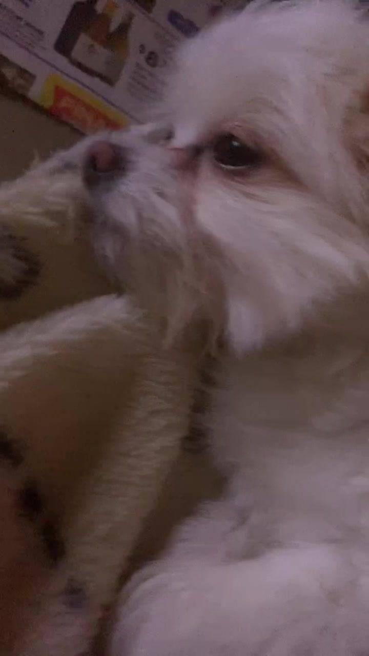 @Linda
