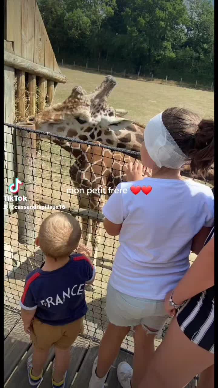 @Cassandra Pilleux945