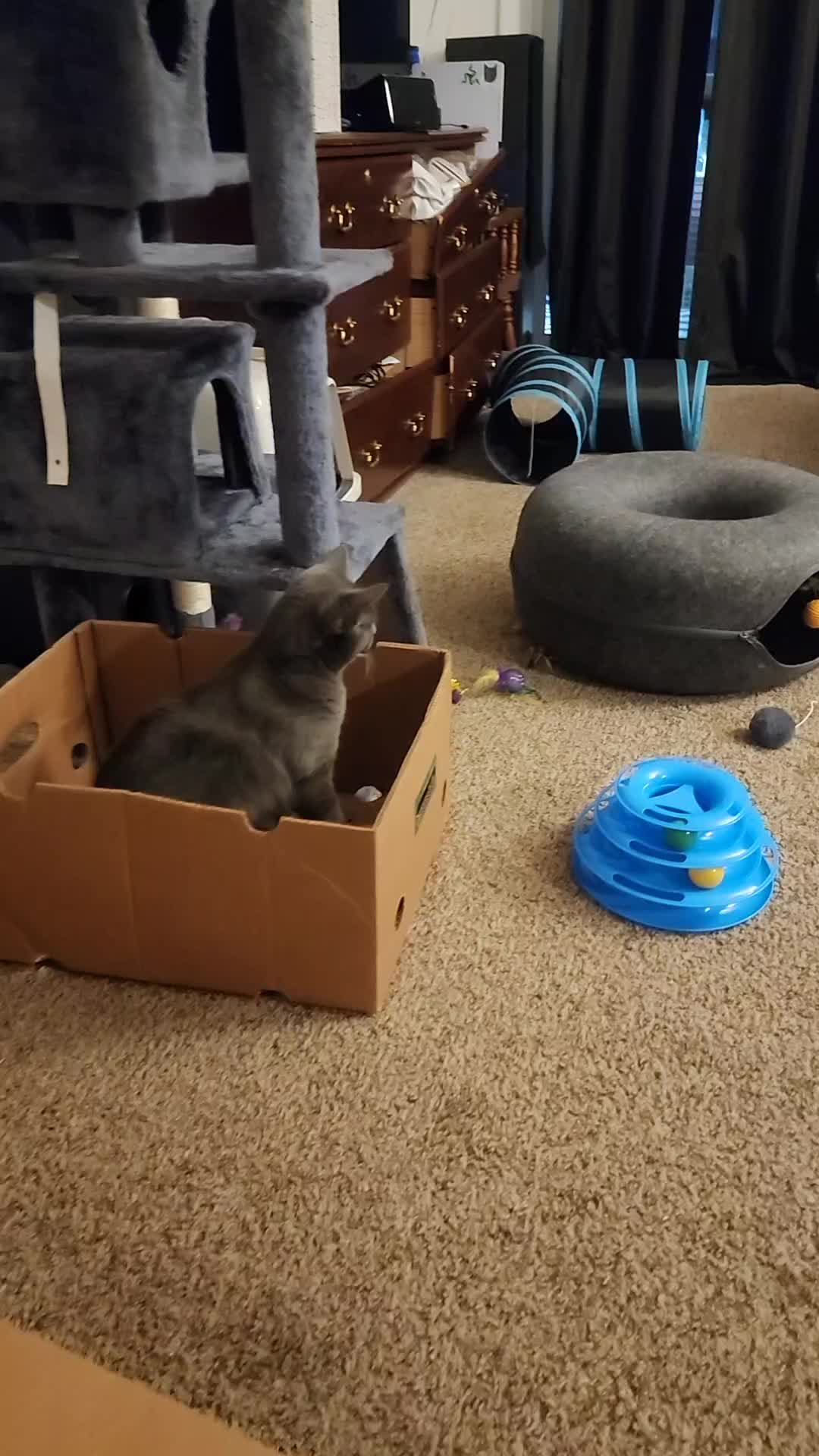 @bootyrockincowgirl
