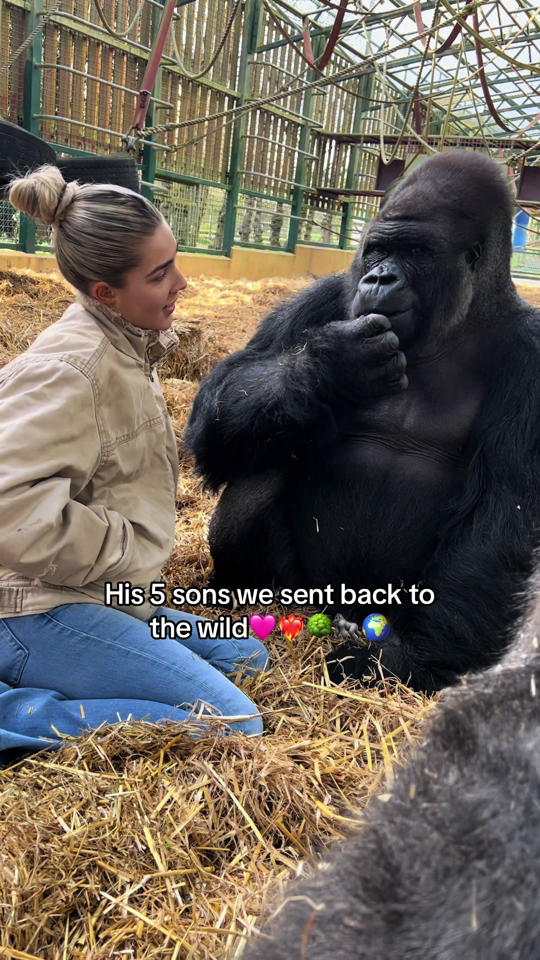 @Freya Aspinall