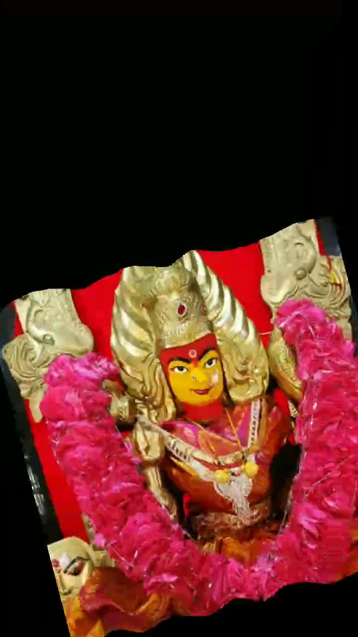 @sweet family