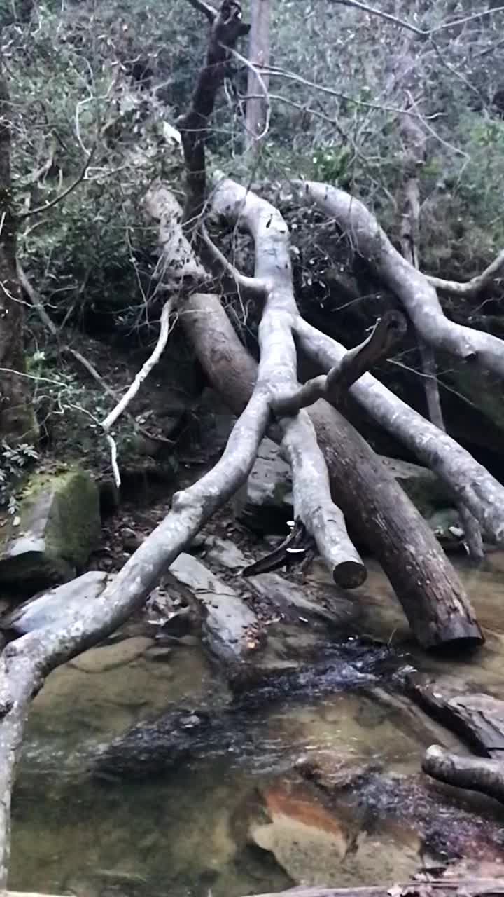 @user8453682335375