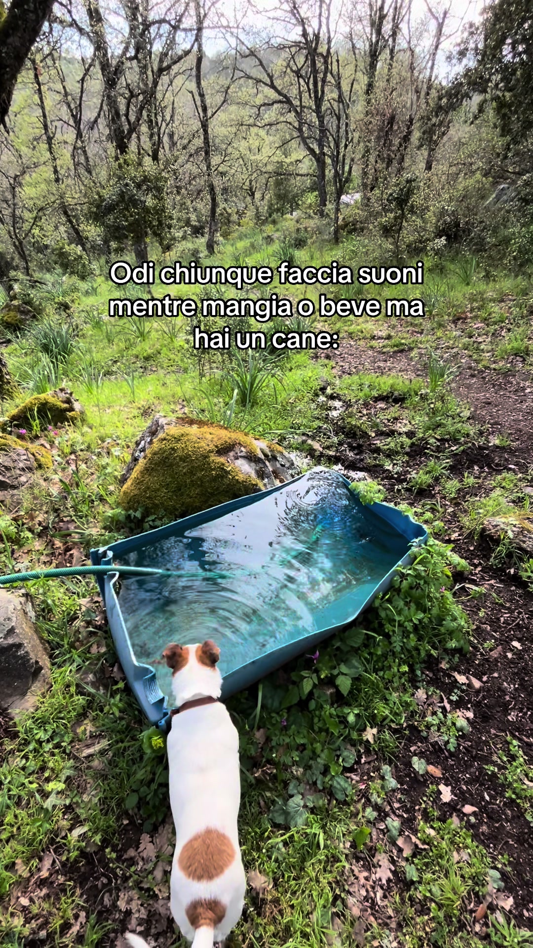 @Piera Columbu