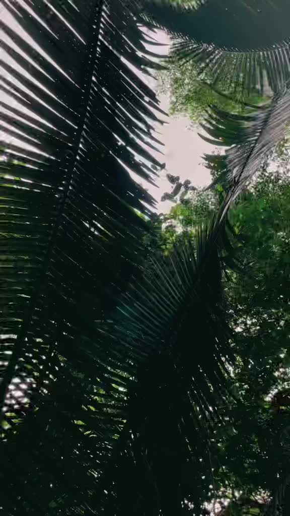 @BB